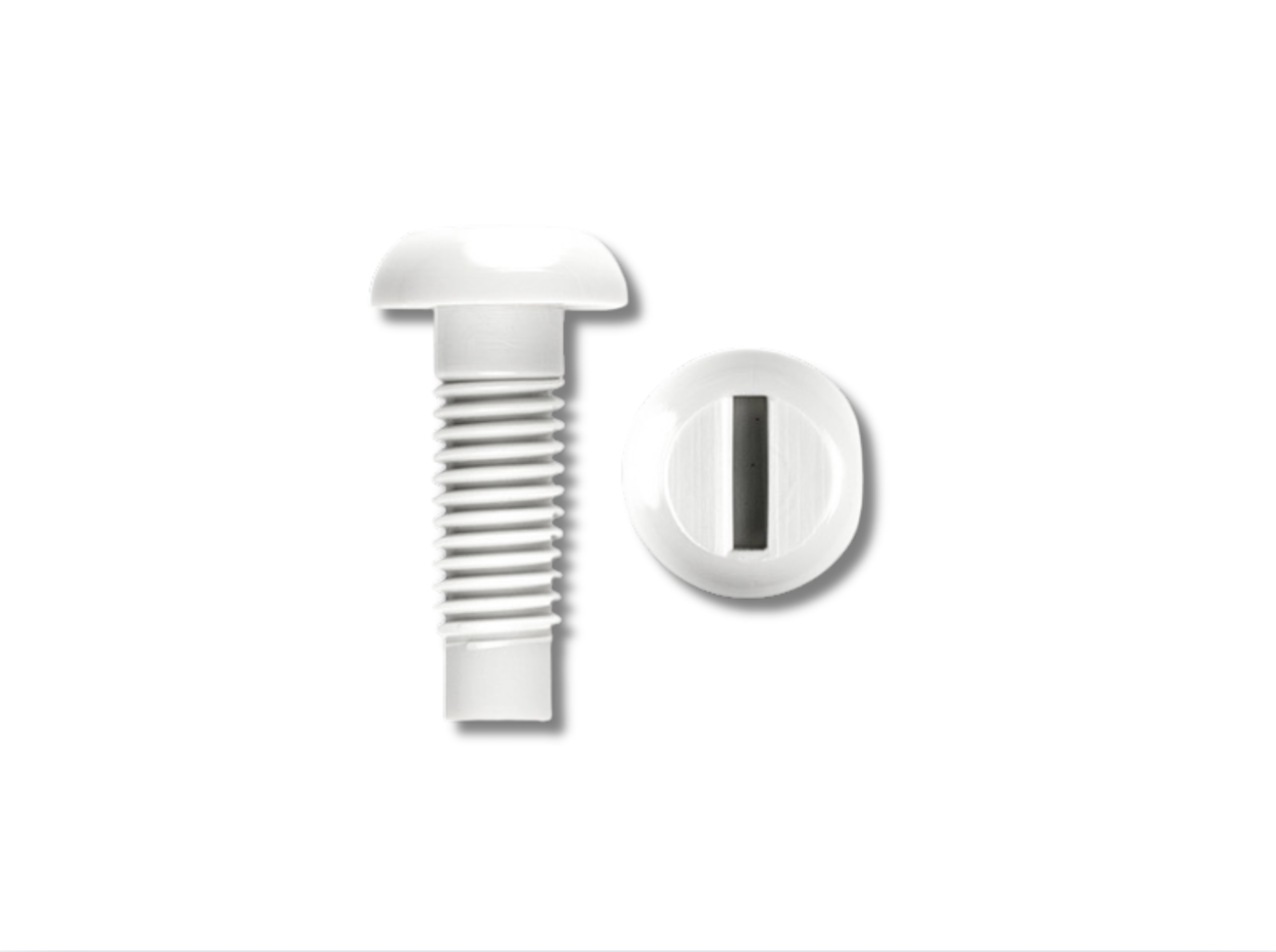 2 White Car Number Plate Nuts x Bolts
