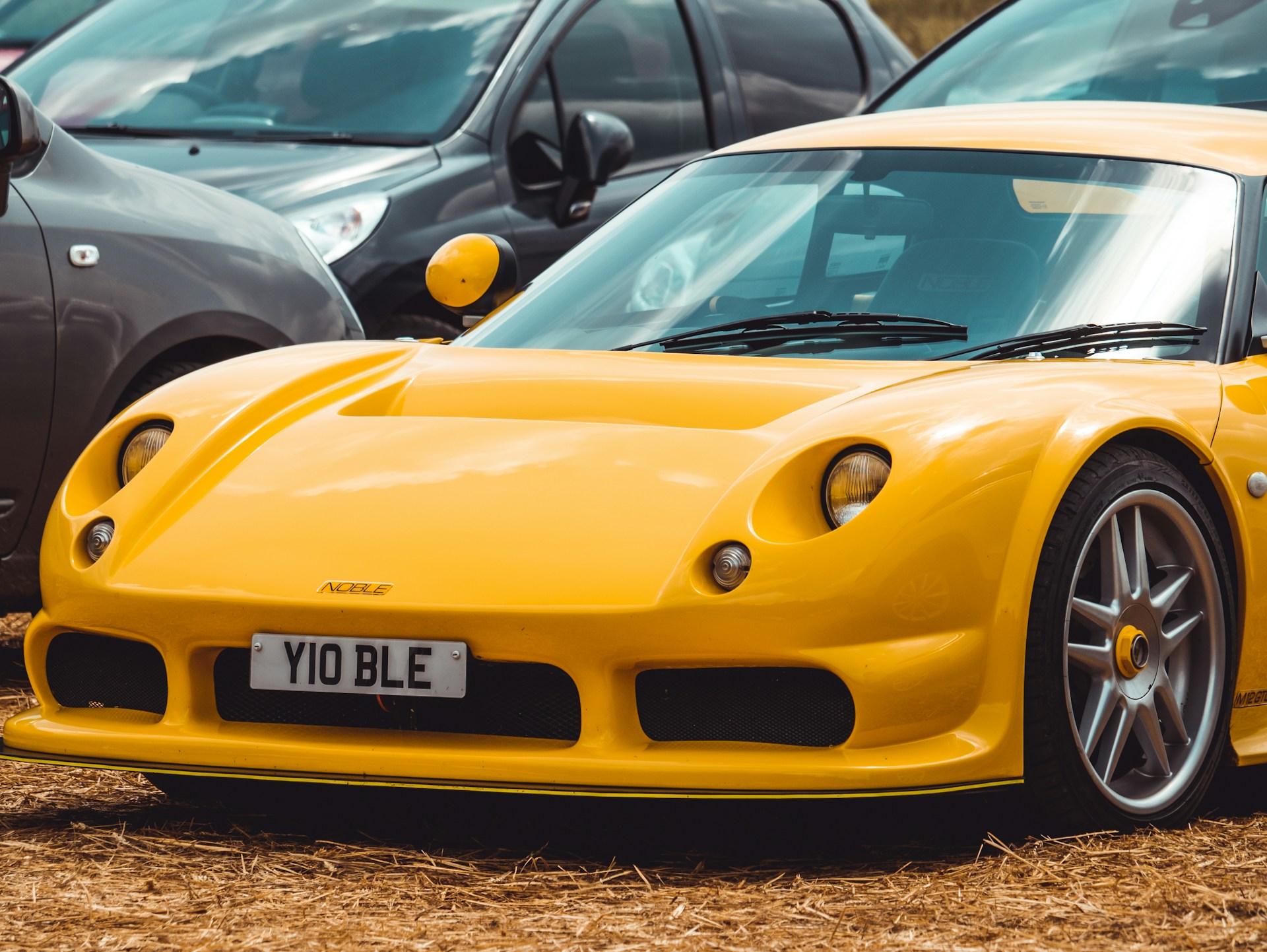 4D Plates – What You Should Know